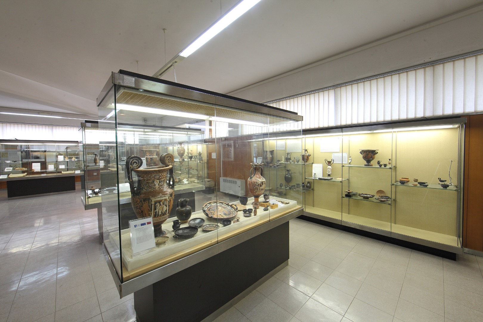 Museo Archeologico di Altamura